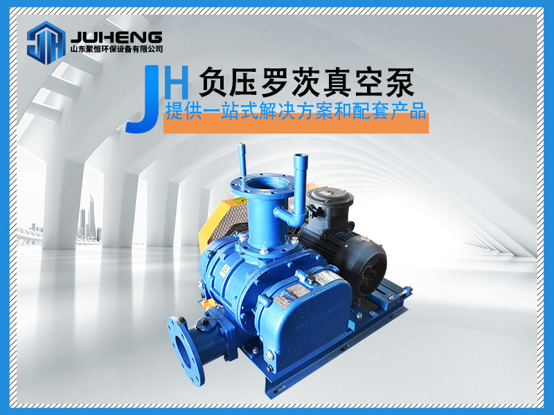 負(fù)壓型羅茨風(fēng)機